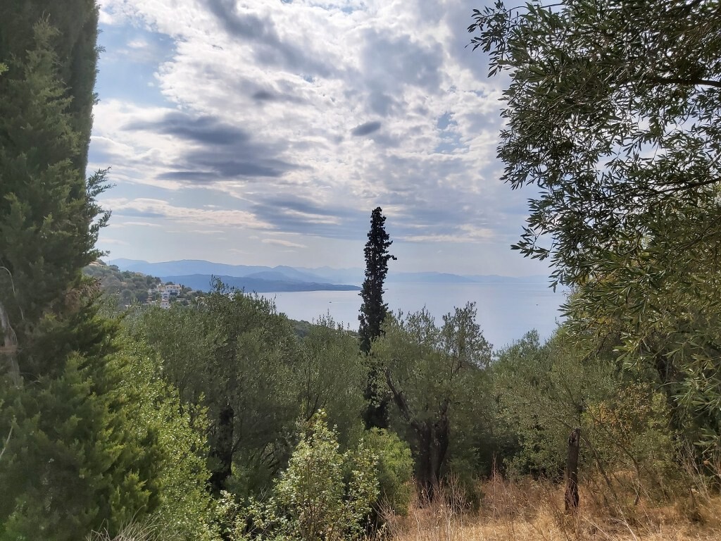 Land in Corfu, Greece, 18 000 m² - picture 15