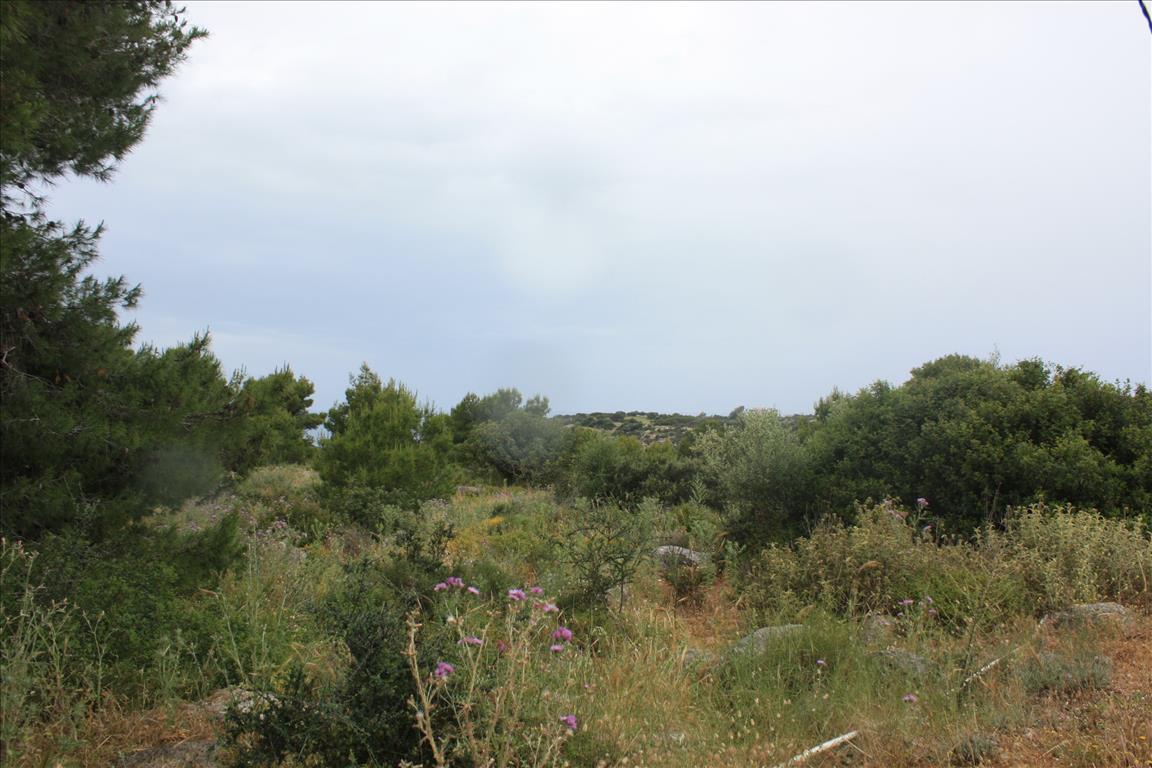 Terreno en Heraclión, Grecia, 5 900 m² - imagen 15