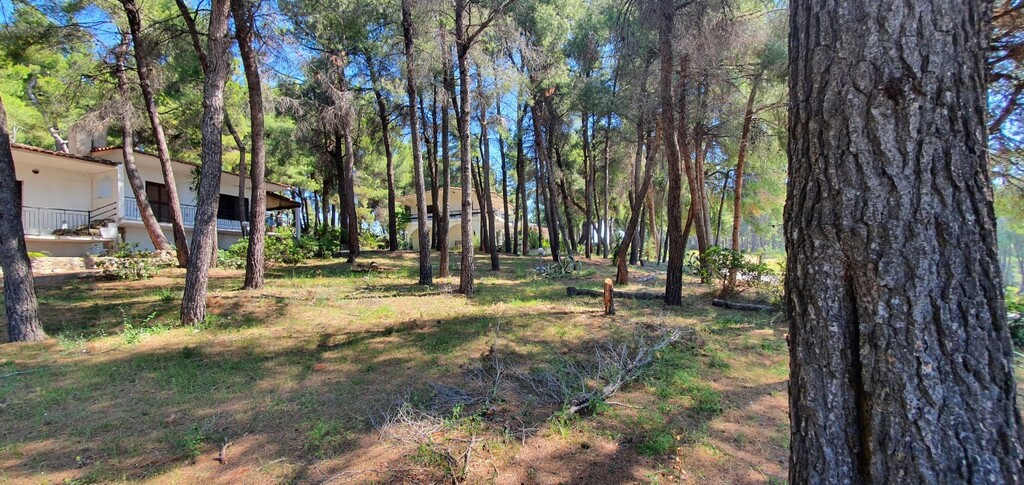 Villa in Kassandra, Griechenland, 440 m² - Foto 15