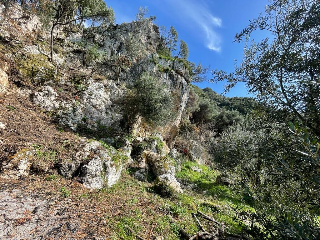 Terreno a Corfù, Grecia, 6 260 m2 - foto 15