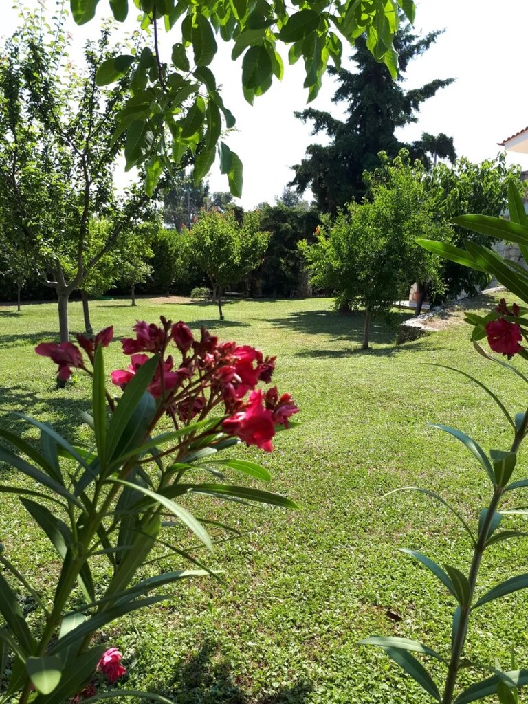 Maisonette in Kassandra, Griechenland, 120 m² - Foto 15