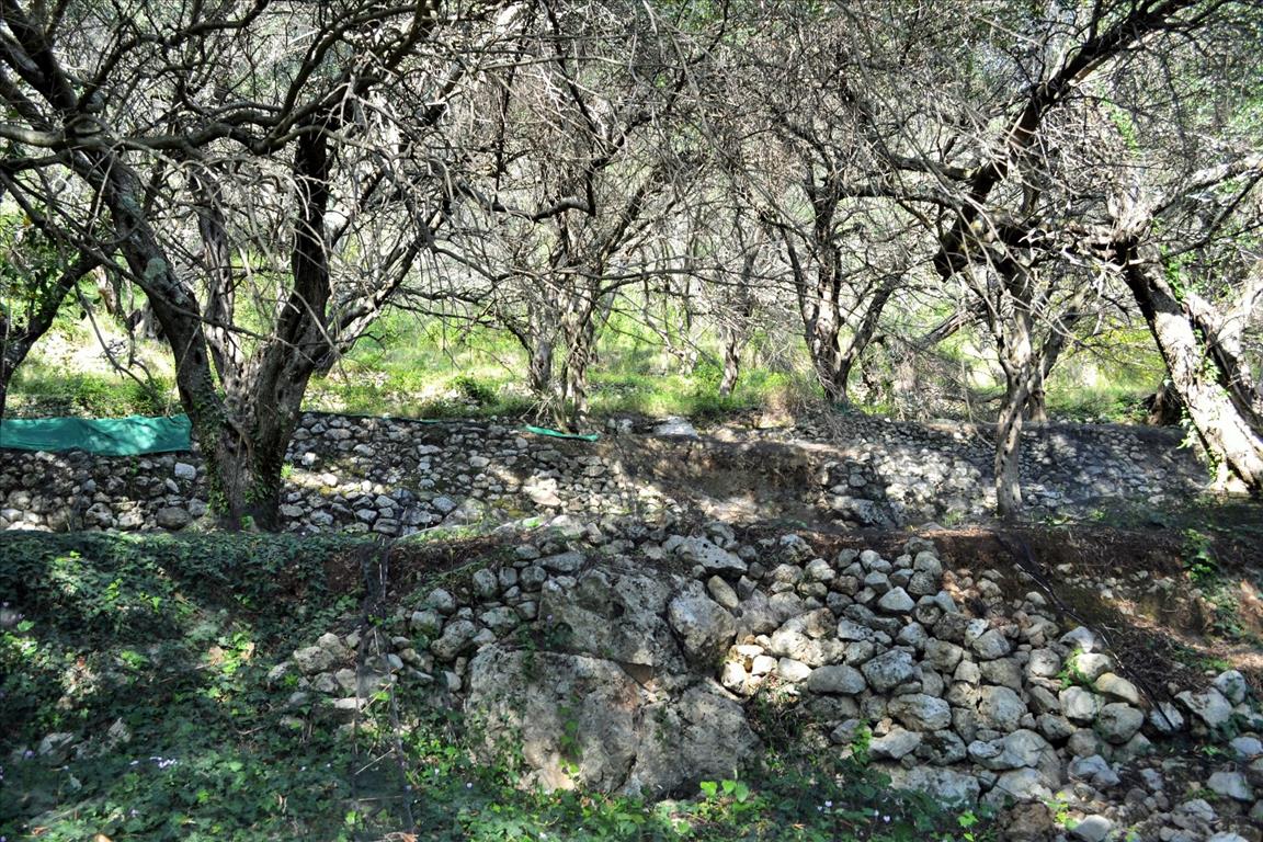 Terreno a Corfù, Grecia, 14 530 m2 - foto 15