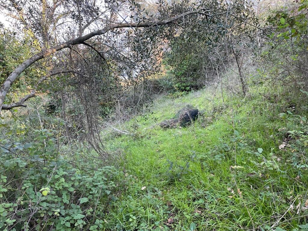 Terrain à Corfou, Grèce, 14 529 m² - image 15