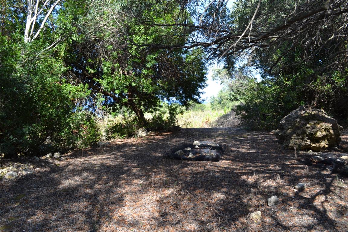 Terreno a Corfù, Grecia, 9 150 m2 - foto 16