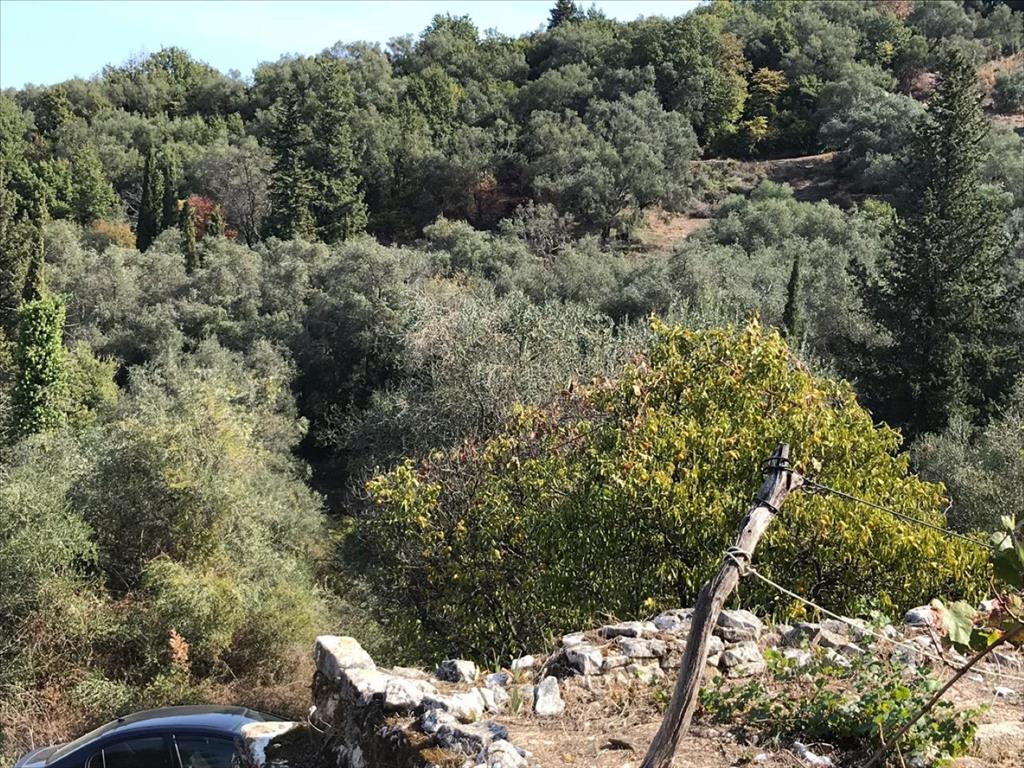 Grundstück in Korfu, Griechenland, 4 000 m² - Foto 16