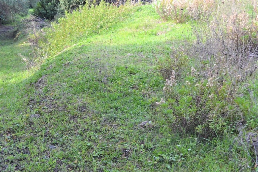 Land in Corfu, Greece, 10 959 m² - picture 16