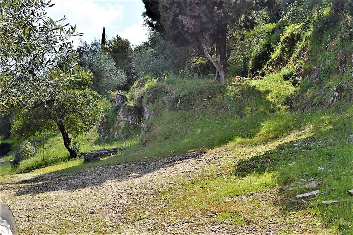 Land in Corfu, Greece, 4 000 m² - picture 16