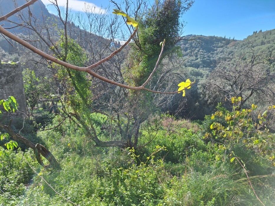 Maisonette in Corfu, Greece, 121 m² - picture 16