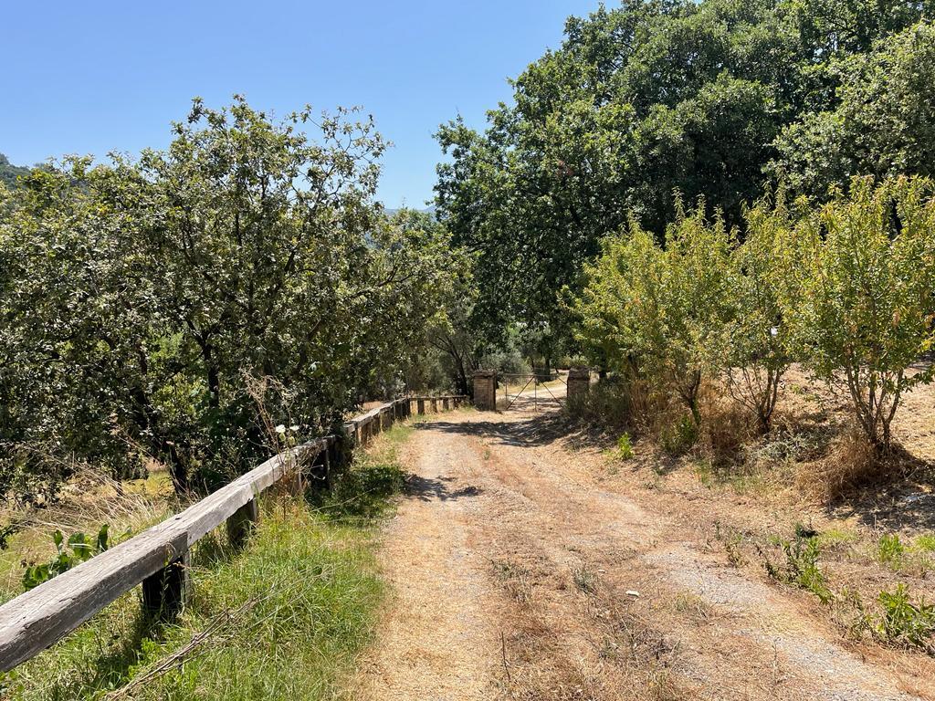 Land in Corfu, Greece, 26 159 m² - picture 16