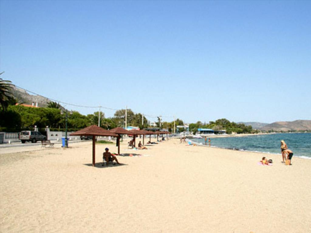 House in Attica, Greece, 430 m² - picture 16