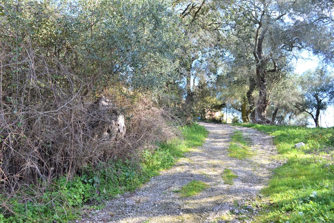 Terrain à Corfou, Grèce, 6 000 m² - image 16