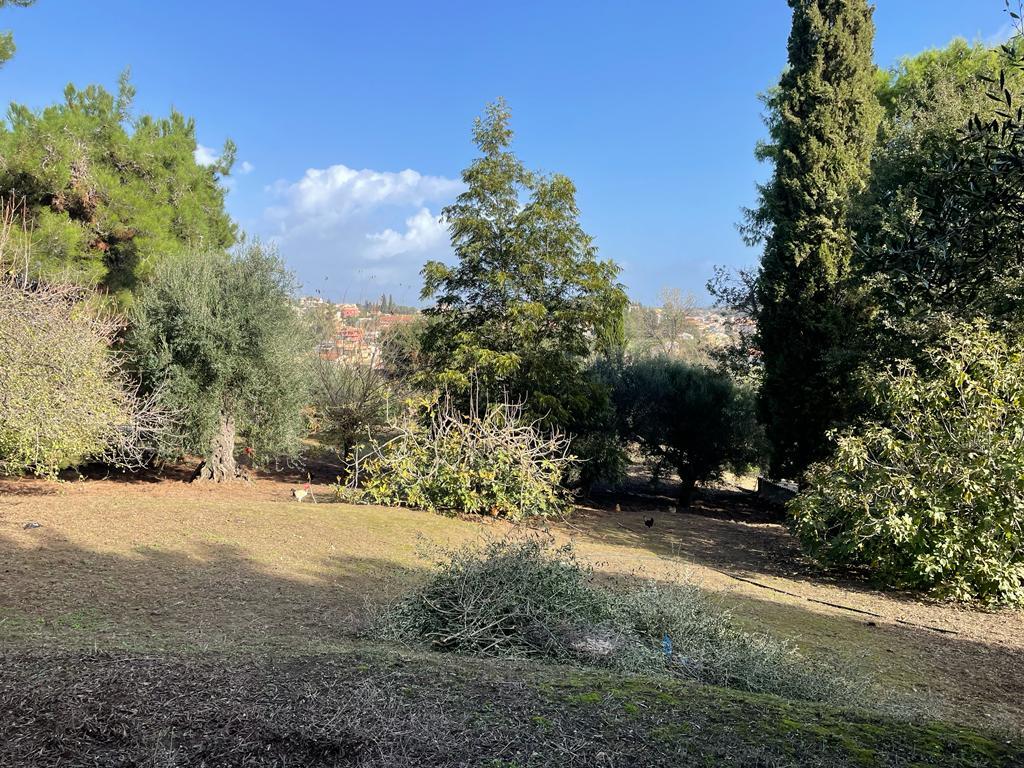 Terreno a Corfù, Grecia, 8 500 m2 - foto 16