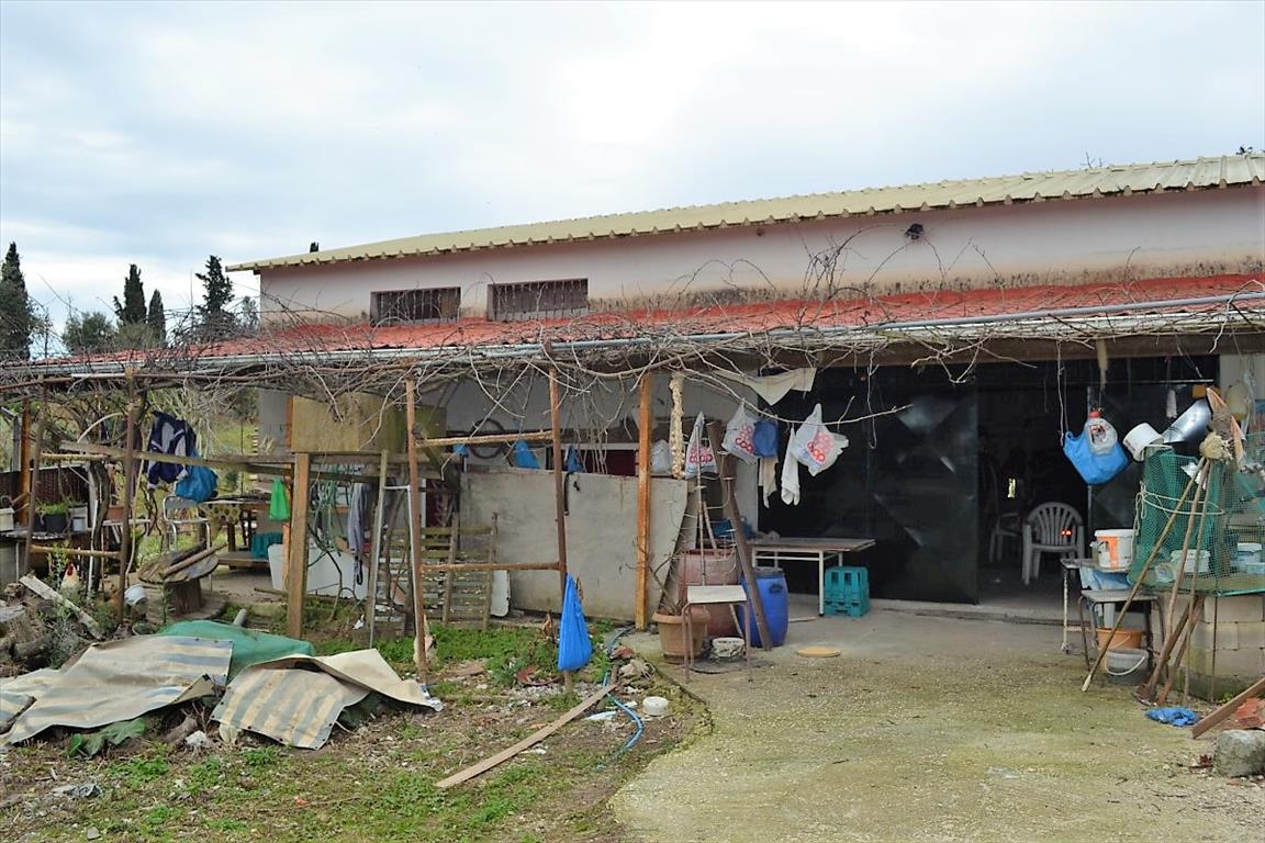 Grundstück in Korfu, Griechenland, 21 000 m² - Foto 17