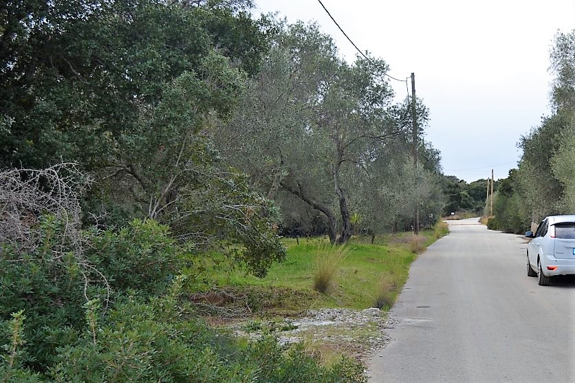 Land in Corfu, Greece, 5 500 m² - picture 17