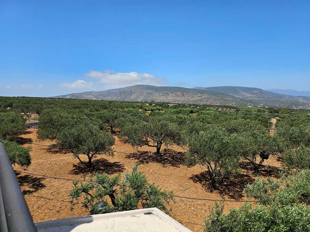 Villa à Héraklion, Grèce, 200 m² - image 17