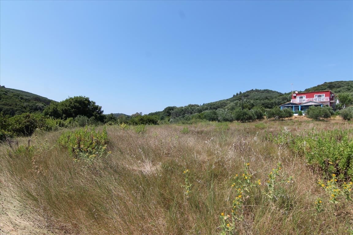 Grundstück in Korfu, Griechenland, 6 711 m² - Foto 17