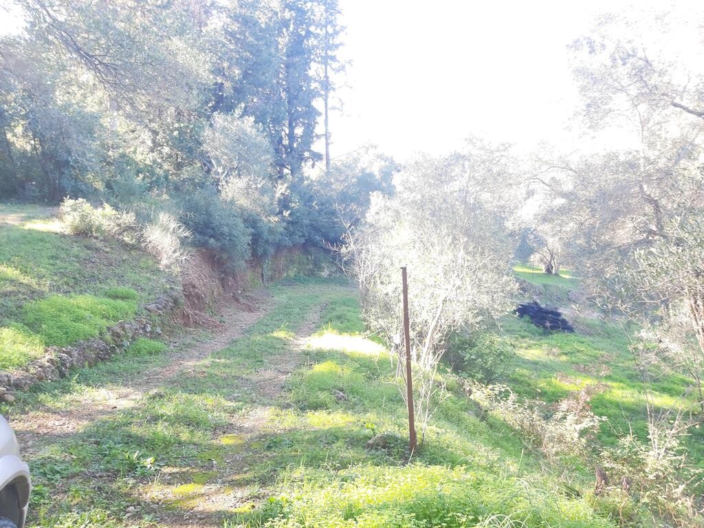 Terreno en Corfú, Grecia, 7 000 m² - imagen 17