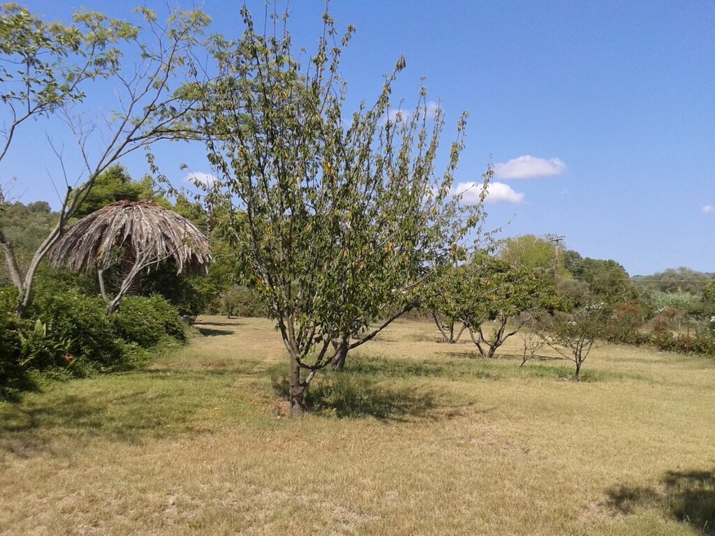 House in Kassandra, Greece, 340 m² - picture 17