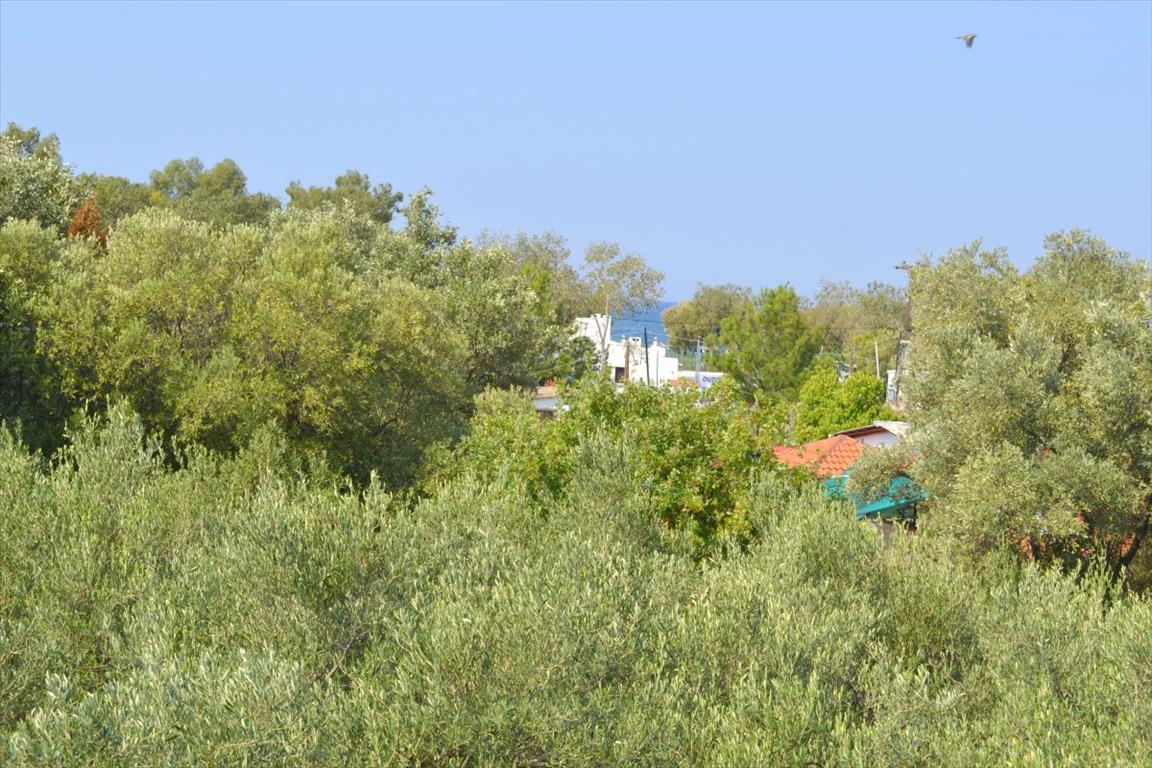 House in Kassandra, Greece, 200 m² - picture 17