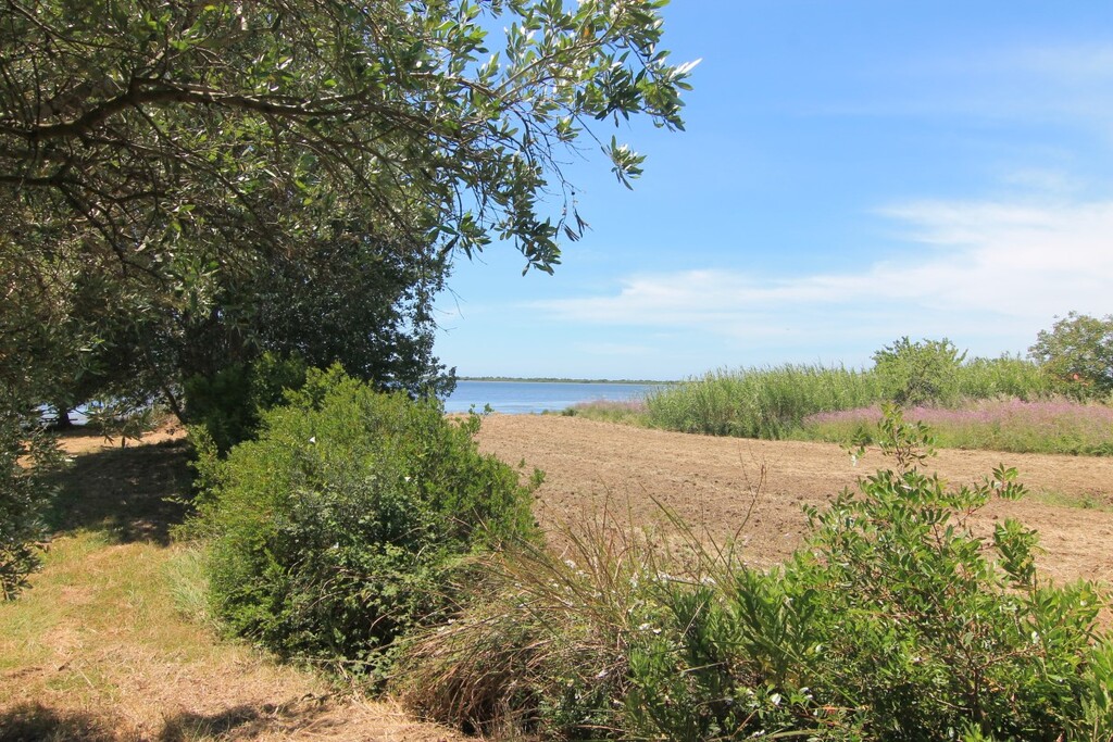 House in Corfu, Greece, 180 m² - picture 17