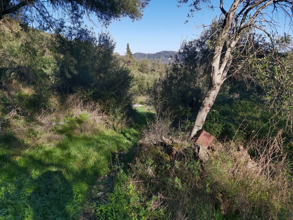 Grundstück in Korfu, Griechenland, 44 872 m² - Foto 17