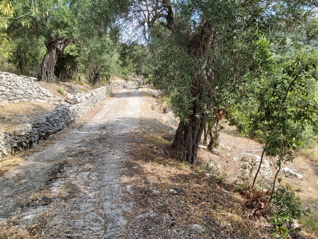 Land in Corfu, Greece, 18 000 m² - picture 17