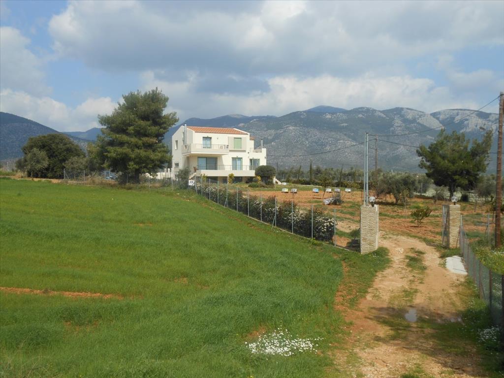 Casa in Attica, Grecia, 230 m² - foto 17