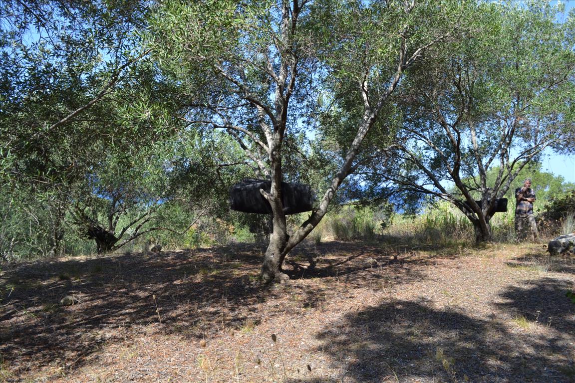 Terreno a Corfù, Grecia, 9 150 m2 - foto 17