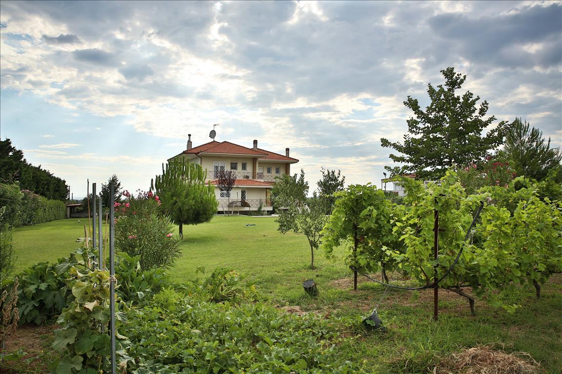 Villa à Thessalonique, Grèce, 590 m² - image 17