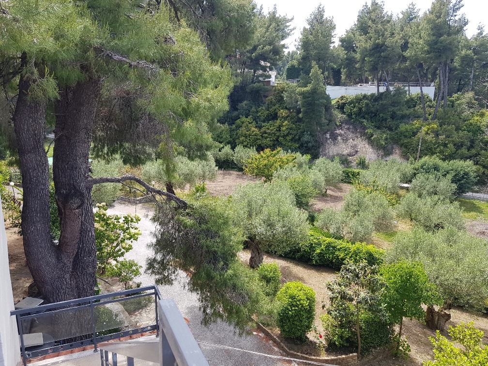 Casa en Kassandra, Grecia, 140 m² - imagen 17