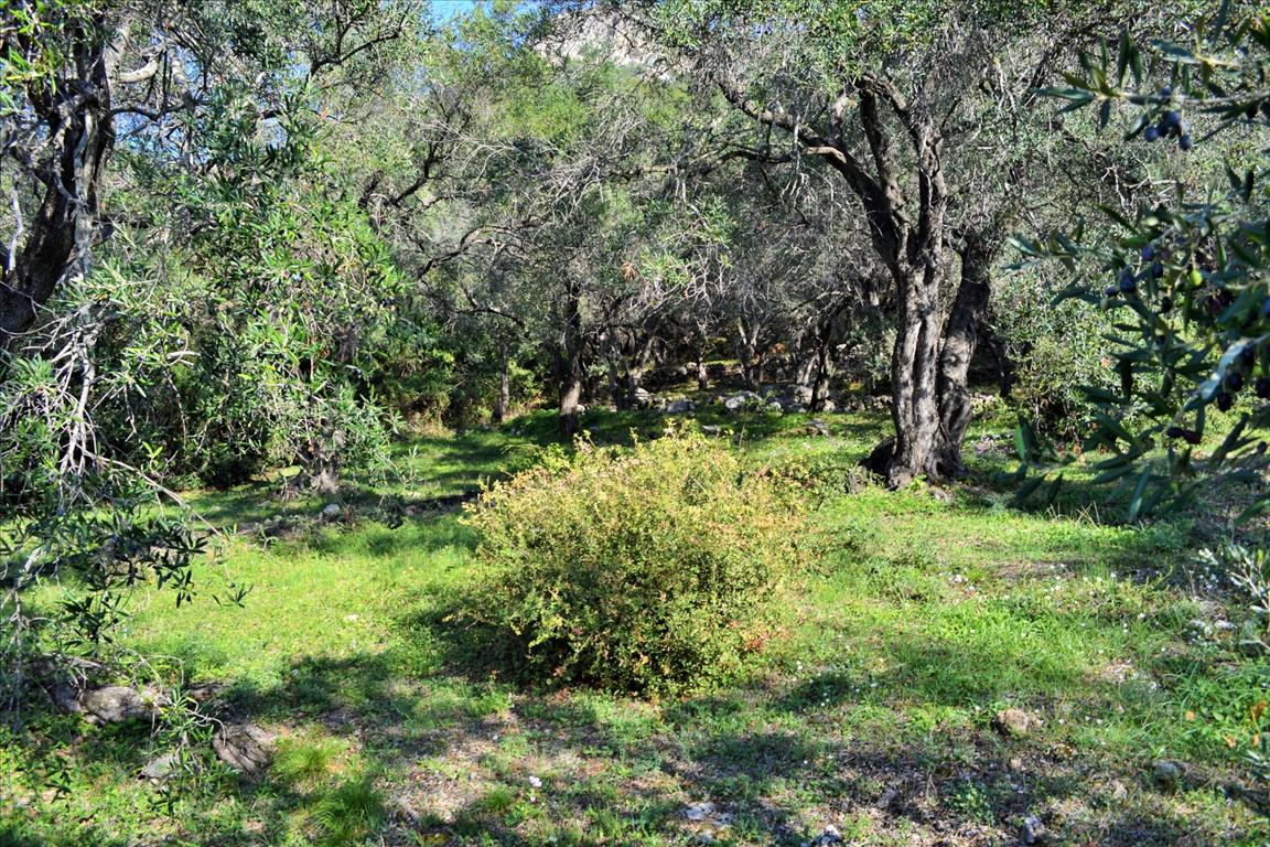 Terreno a Corfù, Grecia, 7 606 m2 - foto 17