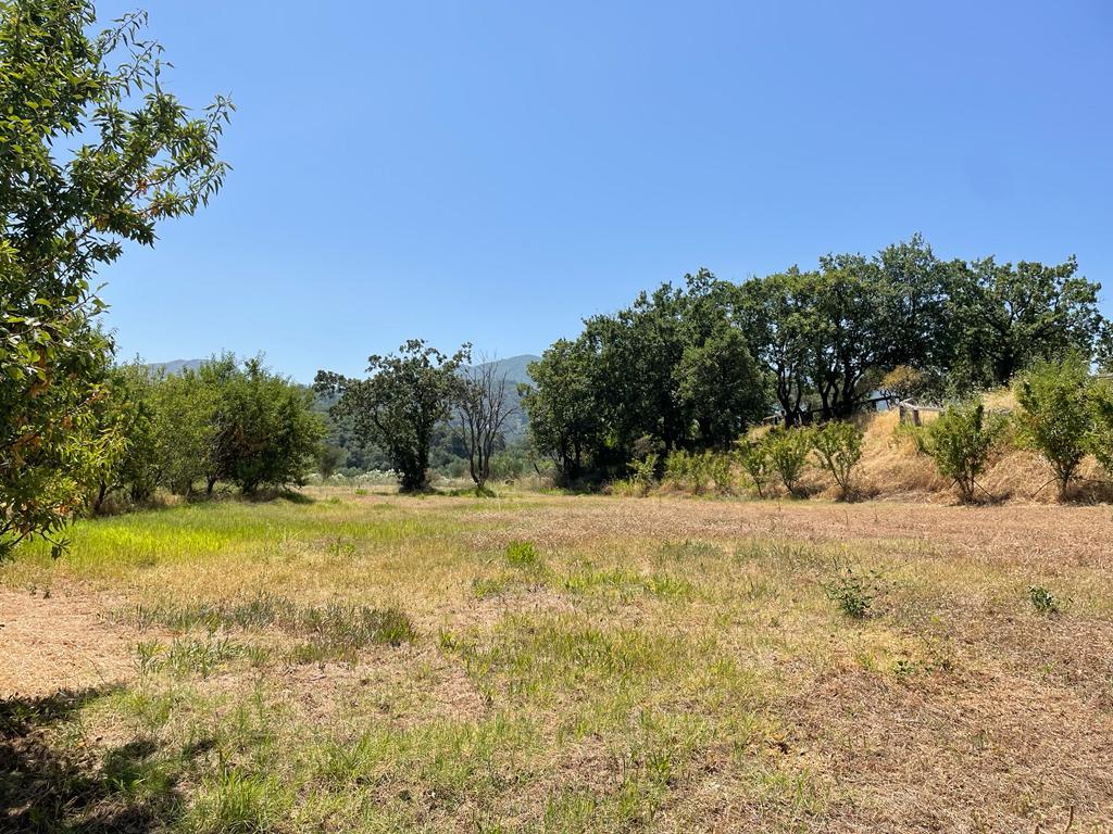 Land in Corfu, Greece, 26 159 m² - picture 17