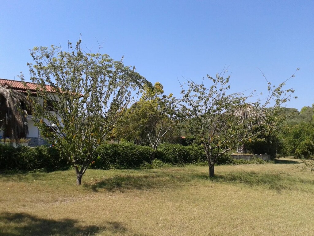 House in Kassandra, Greece, 340 m² - picture 18