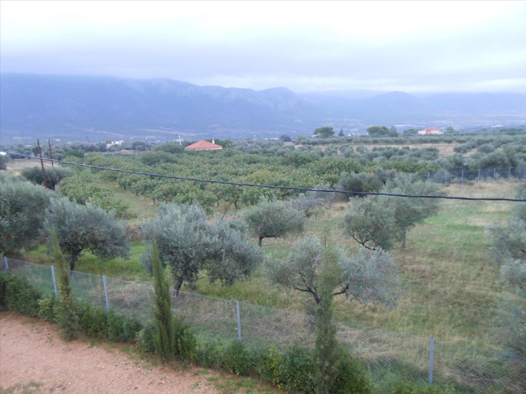 Casa in Attica, Grecia, 230 m² - foto 18