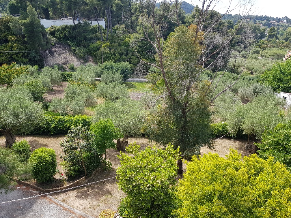 Casa en Kassandra, Grecia, 140 m² - imagen 18