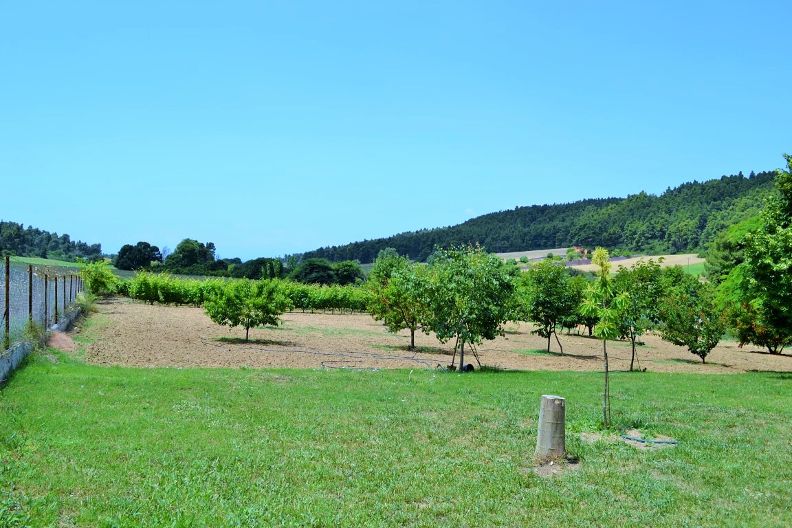 House in Kassandra, Greece, 105 m² - picture 18