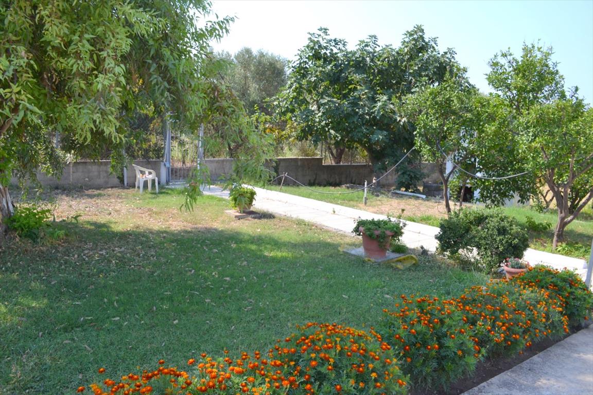 House in Kassandra, Greece, 200 m² - picture 18