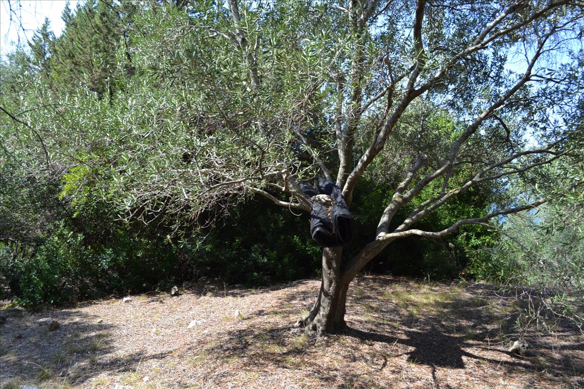 Terreno a Corfù, Grecia, 9 150 m2 - foto 18