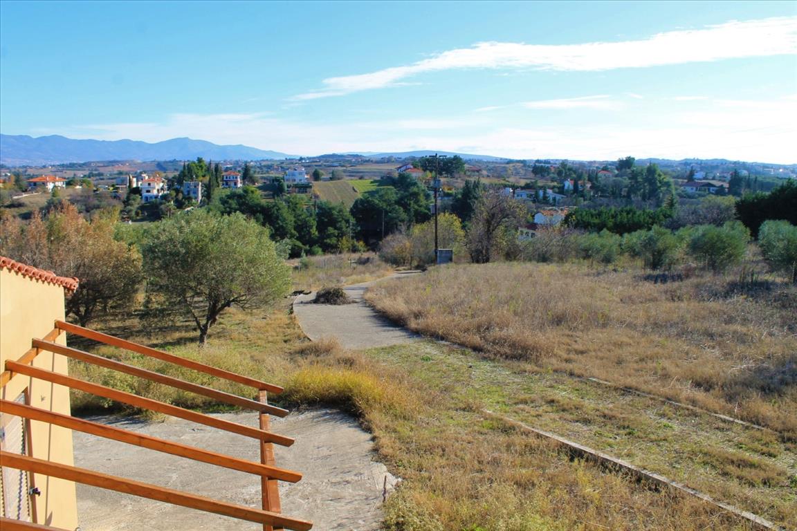 Haus in Thessaloniki, Griechenland, 380 m² - Foto 18