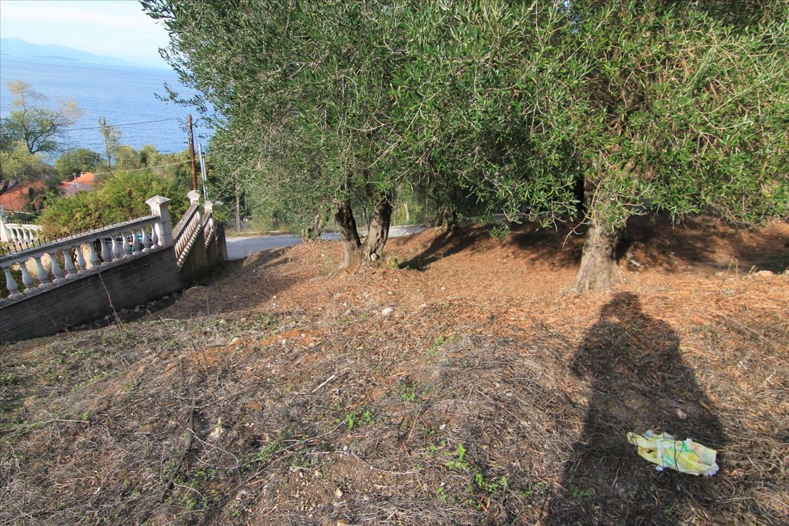 Land in Corfu, Greece, 2 306 m² - picture 18