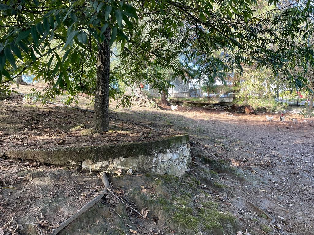 Terreno a Corfù, Grecia, 8 500 m2 - foto 18