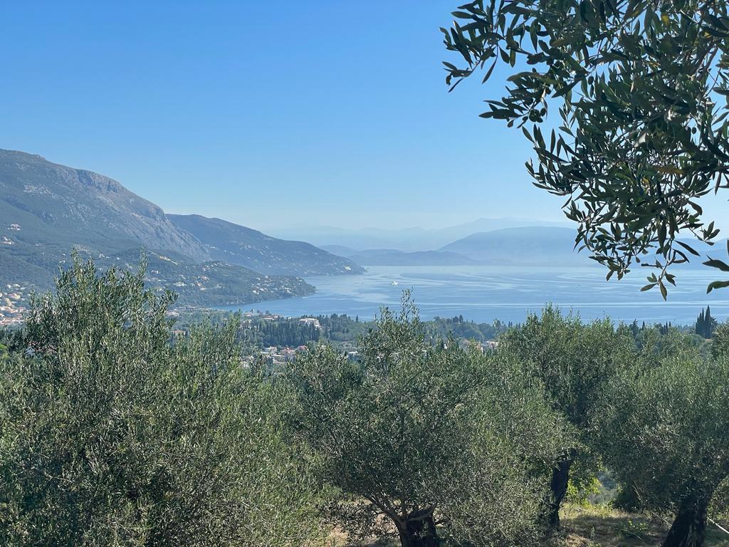 Terreno a Corfù, Grecia, 2 569 m2 - foto 18