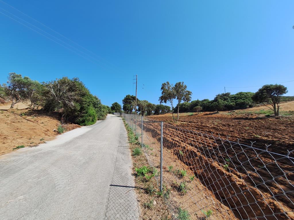 Land in Corfu, Greece, 5 064 m² - picture 18