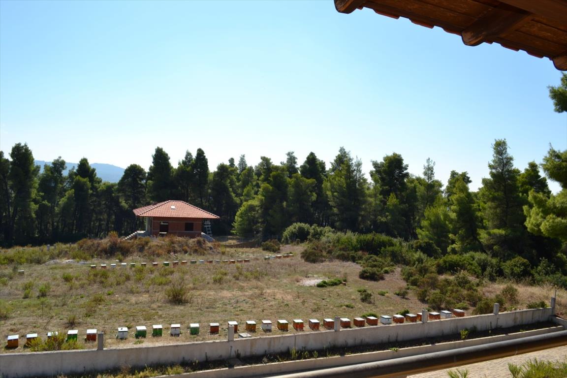 Maisonette in Kassandra, Griechenland, 360 m² - Foto 18