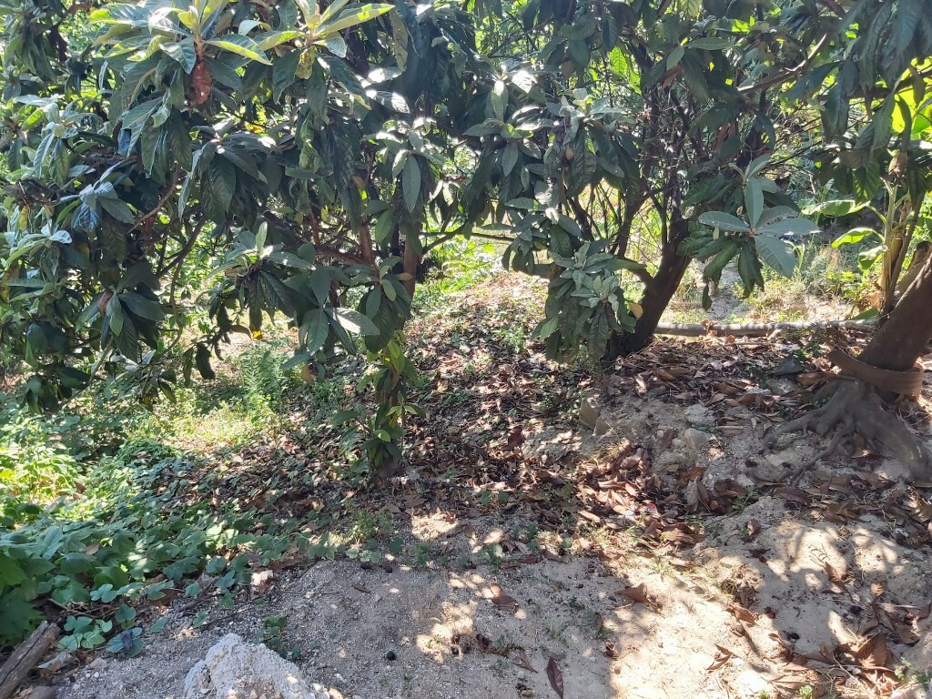 Maisonette en Corfú, Grecia, 106 m² - imagen 18