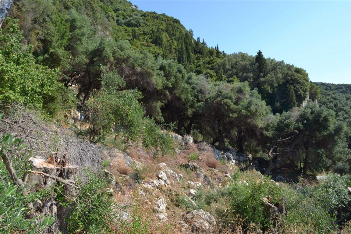Terreno a Corfù, Grecia, 6 260 m2 - foto 18