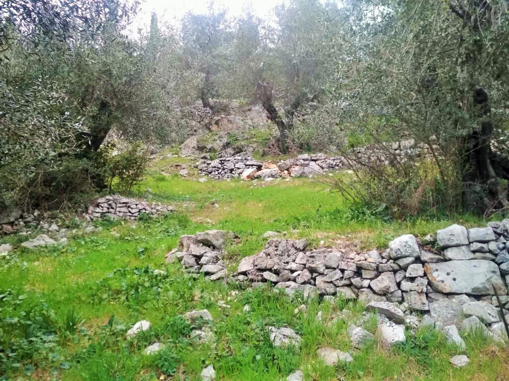 Land in Corfu, Greece, 4 363 m² - picture 18