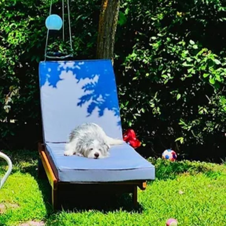 Casa en Sitonia, Grecia, 65 m² - imagen 19