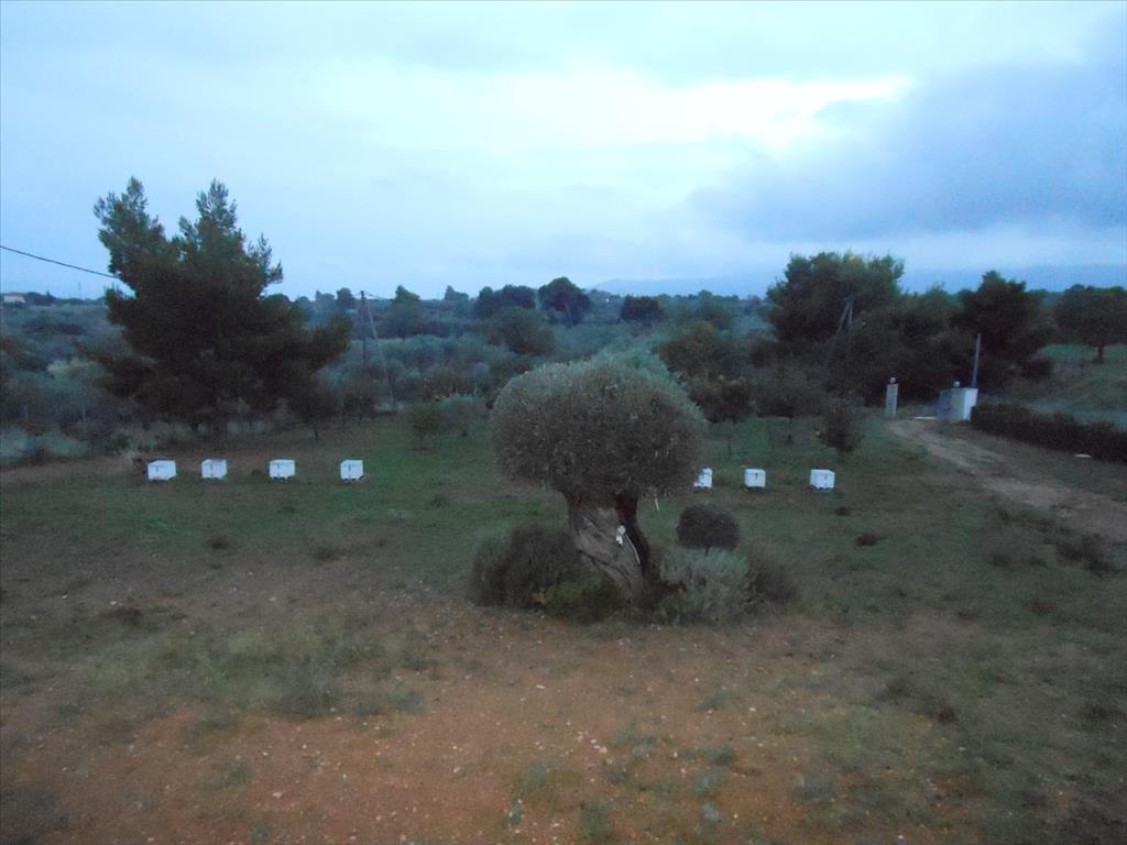 Casa in Attica, Grecia, 230 m² - foto 19