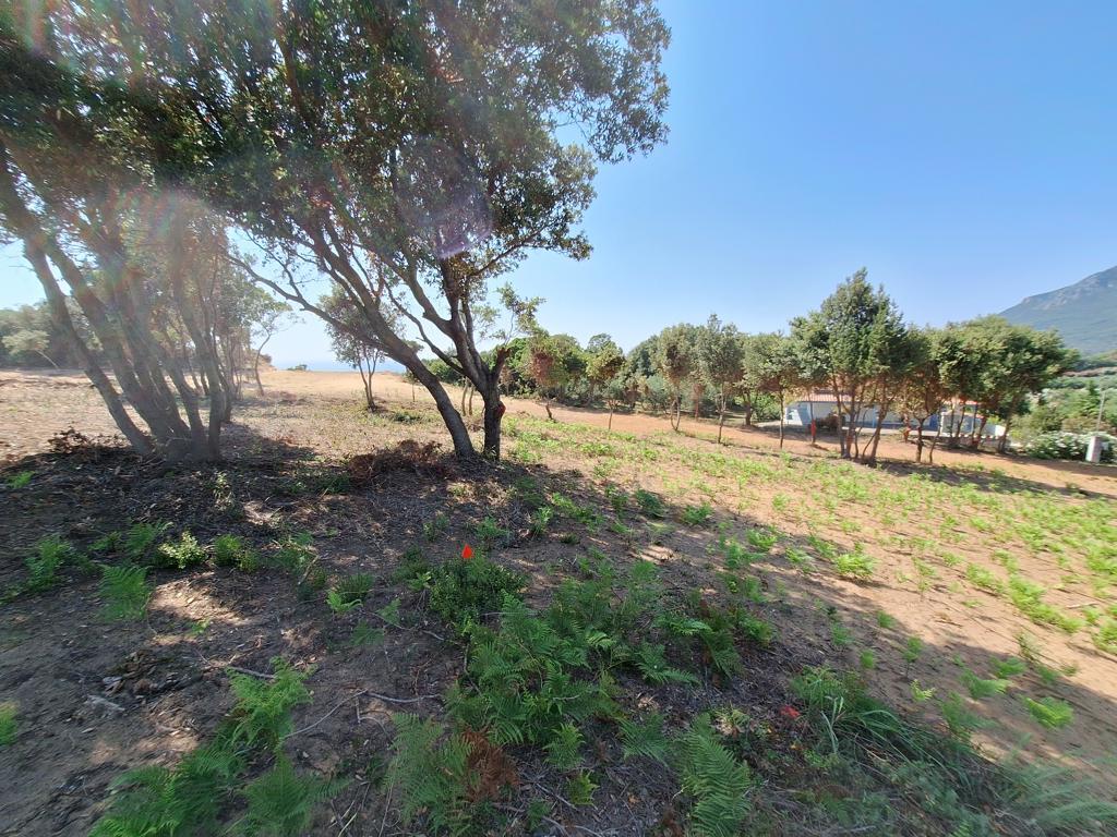 Grundstück in Korfu, Griechenland, 17 439 m² - Foto 19